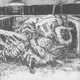 Illustration for article titled Pentizel World-Building Sketches and Stuff